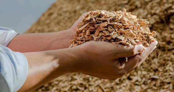 Щепа как топливо. Реальный расчет.